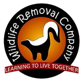 wildliferemoval.fw wildliferemoval.fw